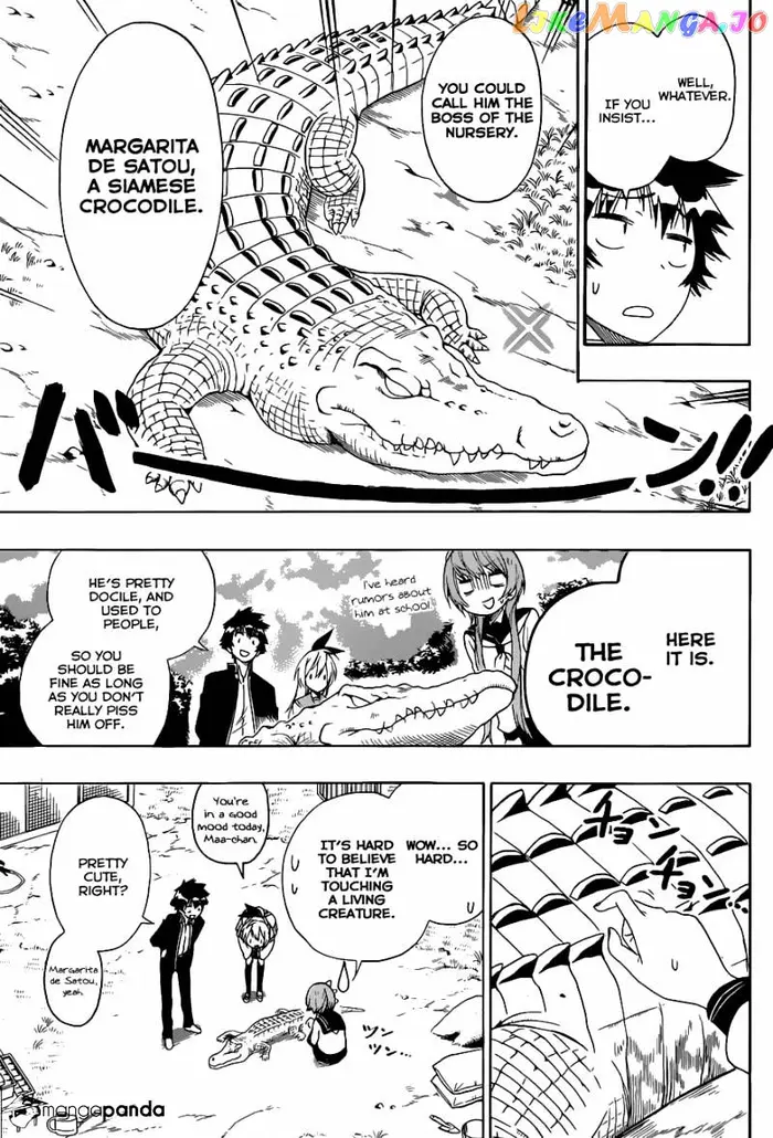 Nisekoi Chapter 142 image 12_optimized